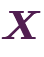 \bm{X}