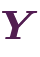 \bm{Y}